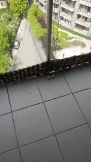 20150509 111133