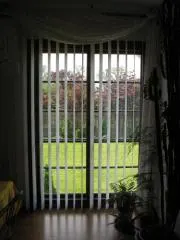 img 1465