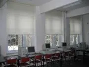 img 0261